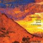 Falling_Down_A_Mountain_-Tindersticks