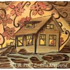 Dreamhouse-Steve_Poltz_