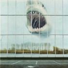 Wilderness Heart  di Black Mountain - CD