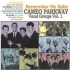 Remember_Me_Baby-Cameo_Parkway