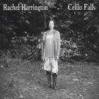 Celilo_Falls_-Rachel_Harrington