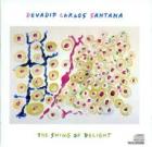 The_Swing_Of_Delight_-Santana