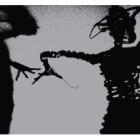 Dynamite Steps  di Twilight Singers - CD