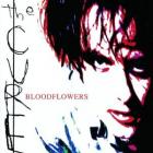 Bloodflowers_-Cure