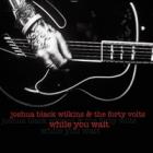 While You Wait  di Joshua Black Wilkins