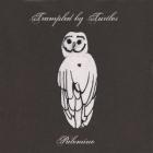 Palomino-Trampled_By_Turtles