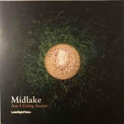 Am I Going Insane di Midlake - CD Am I Going Insane di Midlake - CD