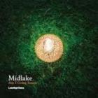 Am_I_Going_Insane_-Midlake