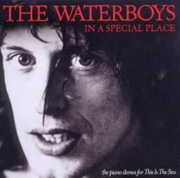 In A Special Place  di Waterboys - CD