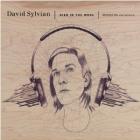 Died_In_The_Wool_-David_Sylvian