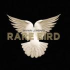 Rare_Bird_-Shawn_Lombard
