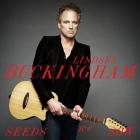 The_Seeds_We_Sow_-Lindsey_Buckingham