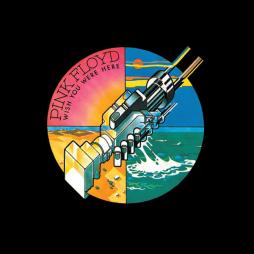 Wish You Were Here  di Pink Floyd - LP