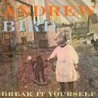Break It Yourself di Andrew Bird - CD Break It Yourself di Andrew Bird - CD