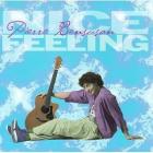 Nice Feeling  di Pierre Bensusan - CD