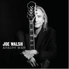 Analog_Man_-Joe_Walsh