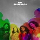 The_Sheepdogs-Sheepdogs_