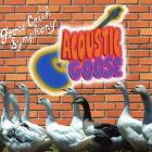 Acoustic_Goose_-Goose_Creek
