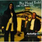 Sister Sweetly  di Big Head Todd And The Monsters - CD