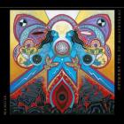 Integration Of The Awkward di Mamuse - CD