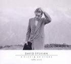 A_Victim_Of_Stars_-David_Sylvian