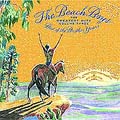 Greatest Hits Vol.3-Best Of Brother Years di Beach Boys - CD