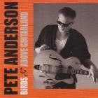 Birds_Above_Guitarland-Pete_Anderson