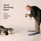 Only_Slightly_Mad-David_Bromberg_Band