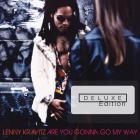 Are You Gonna Go My Way   di Lenny Kravitz - CD