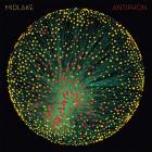 Antiphon-Midlake