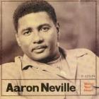 Warm_Your_Heart_-Aaron_Neville