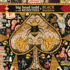 Black Beehive di Big Head Todd And The Monsters - CD Black Beehive di Big Head Todd And The Monsters - CD