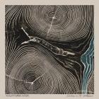 Rivers_In_The_Wasteland-Needtobreathe