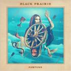 Fortune-Black_Prairie