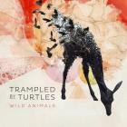 Wild_Animals__-Trampled_By_Turtles