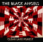 Clear_Lake_Forest_-The_Black_Angels