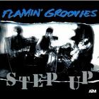 Step_Up_-Flamin'_Groovies