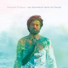 The_Shipwreck_From_The_Shore_-Anthony_DAmato