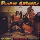 Teenage_Head_-Flamin_Groovies