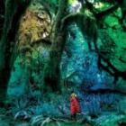 Cabinet Of Curiosities  di Jacco Gardner - CD
