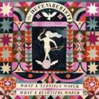 What_A_Terrible_World_,_What_A_Beautiful_World_-The_Decemberists