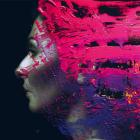 Hand_,_Cannot_Erase_-Steven_Wilson_