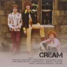 ICON-Cream