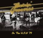 In_The_Usa_79_-Flamin_Groovies