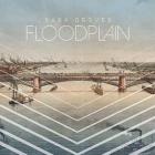 Floodplain_-Sara_Groves