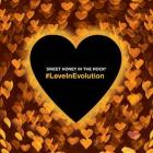 #LoveInEvolution di Sweet Honey In The Rock - CD