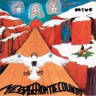 Message From The Country  di Move - CD