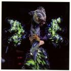 Vulnicura_Live_-Bjork