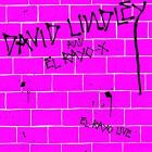 El_Rayo_Live_-David_Lindley