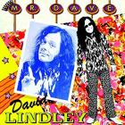 Mr._Dave_-David_Lindley